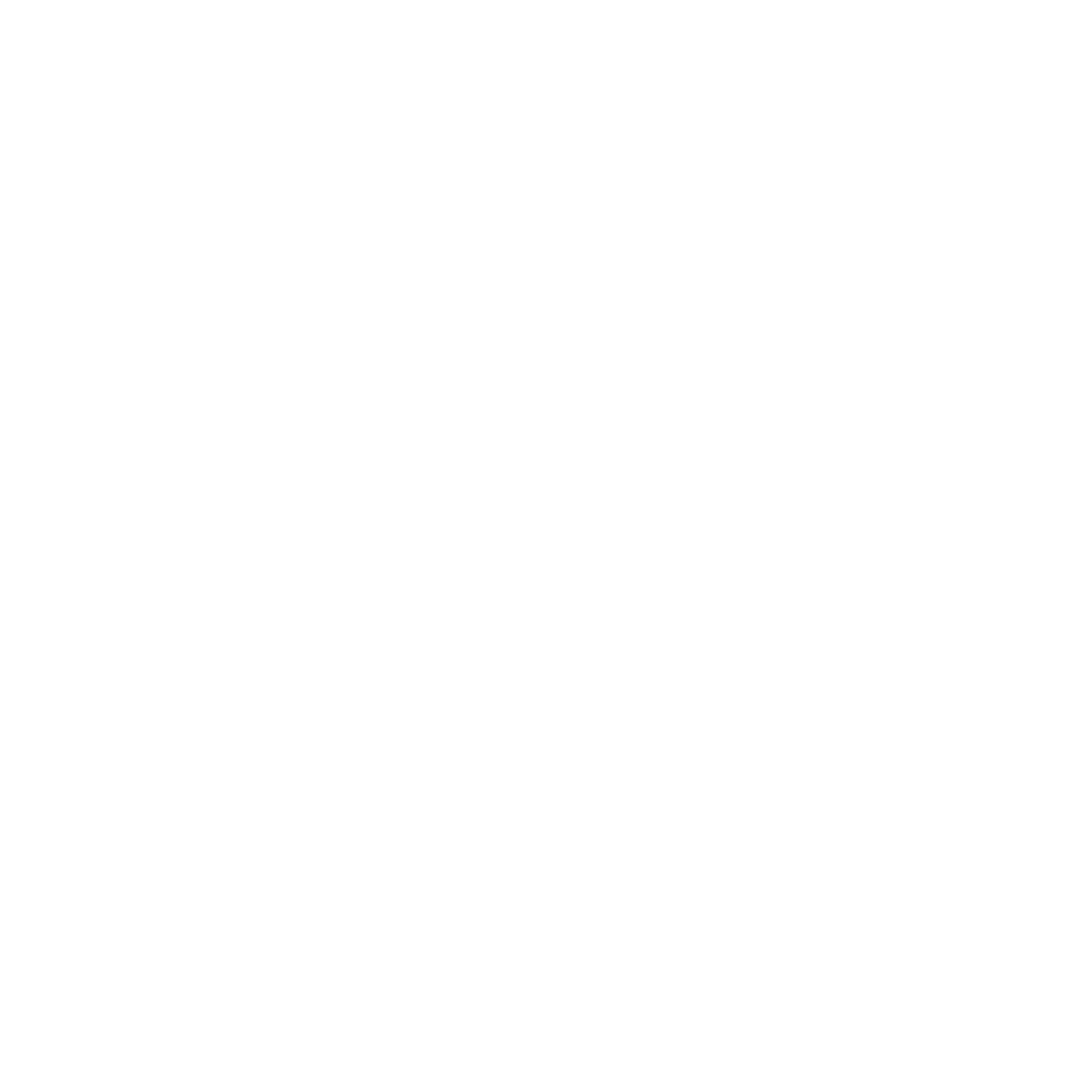 SSG – SUSTAINABLE SOLUTIONS GROUP